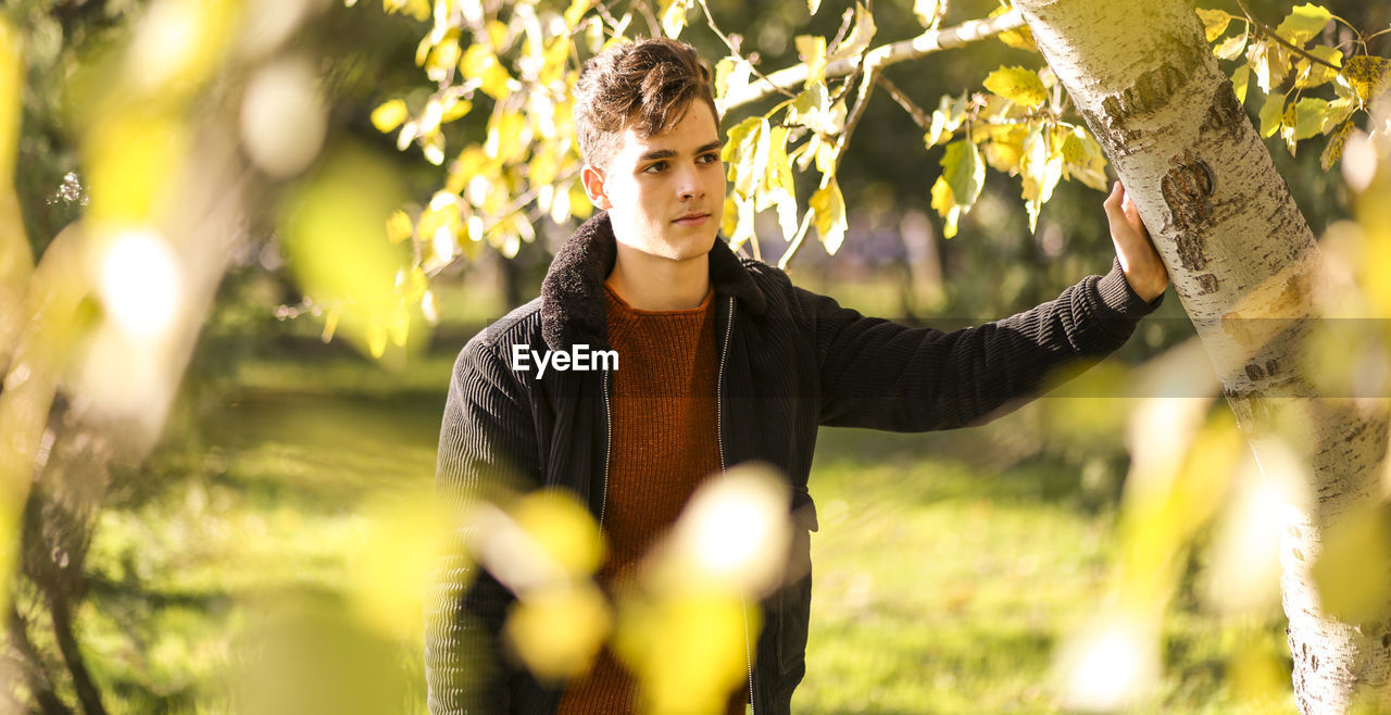 Young man looking away while standing by tree in park