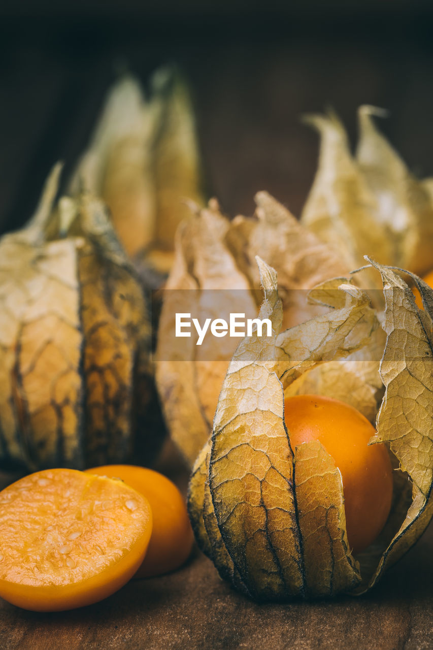 CLOSE-UP OF FRESH ORANGE FRUITS ON LEAVES