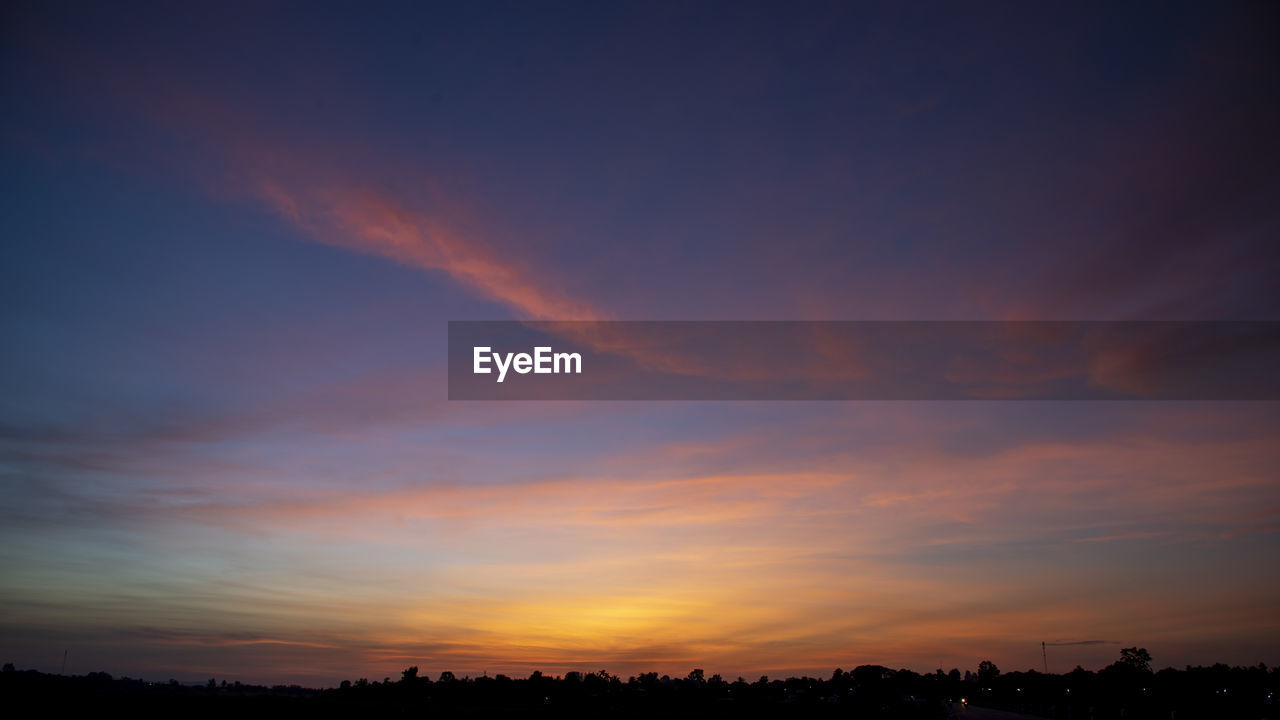 LOW ANGLE VIEW OF SILHOUETTE TREES AGAINST ROMANTIC SKY