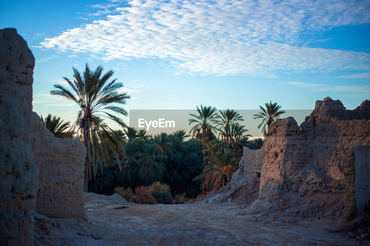 rock, sky, palm tree, landscape, nature, plant, tree, environment, desert, scenics - nature, travel destinations, land, tropical climate, travel, no people, natural environment, cloud, beauty in nature, blue, rock formation, mountain, outdoors, sunset, date palm tree, sea, non-urban scene, tranquility, climate, sand, arid climate, terrain, tourism, valley