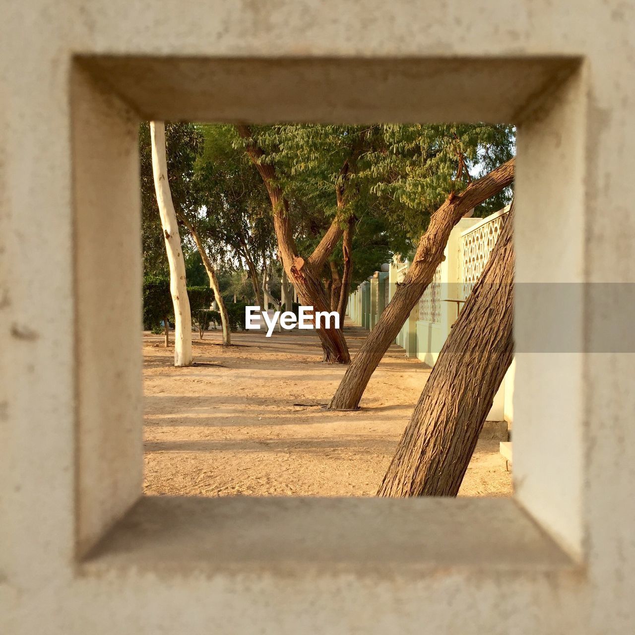 Trees seen through square shaped window
