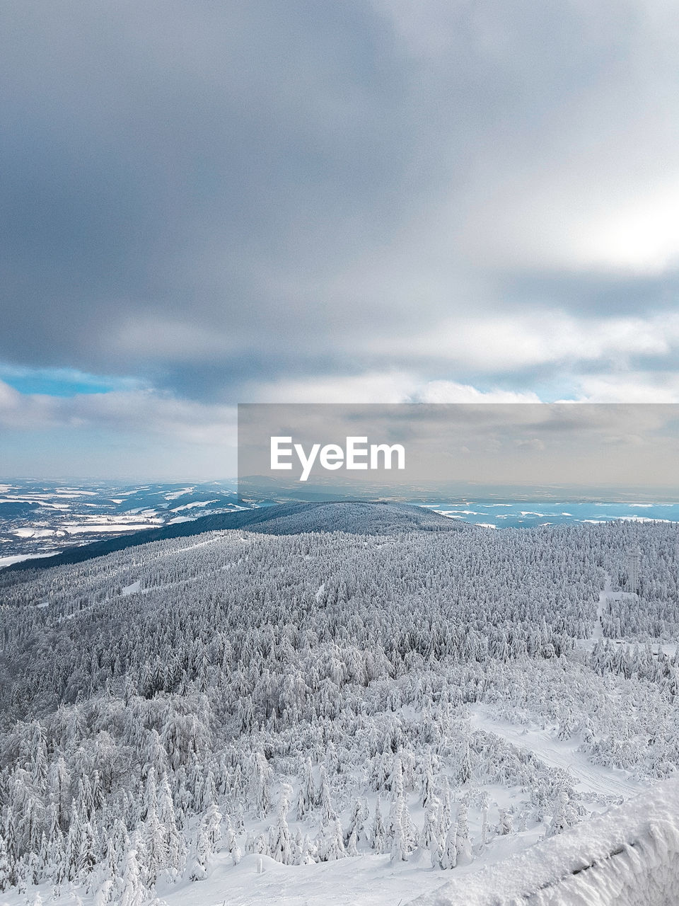 Trees on snowy landscape against cloudy sky