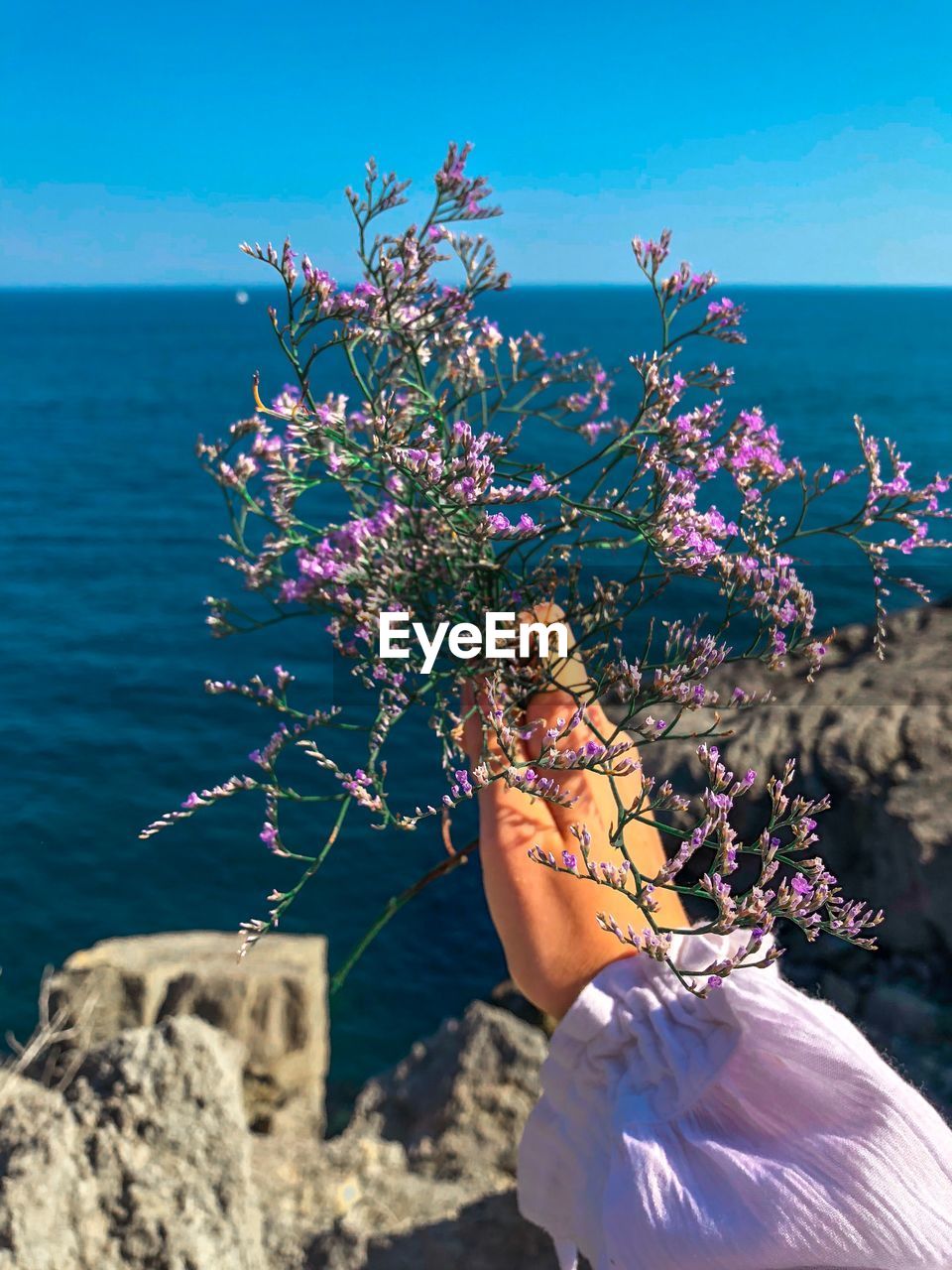 Person holding flowers against sky