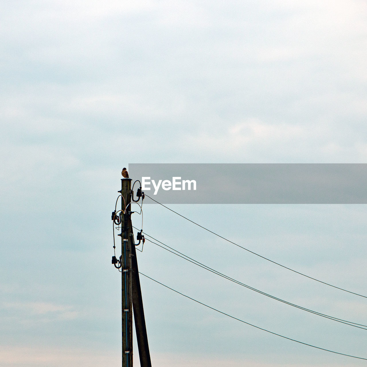 LOW ANGLE VIEW OF CRANE AGAINST SKY