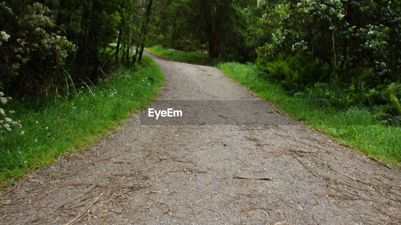 Road passing through a field