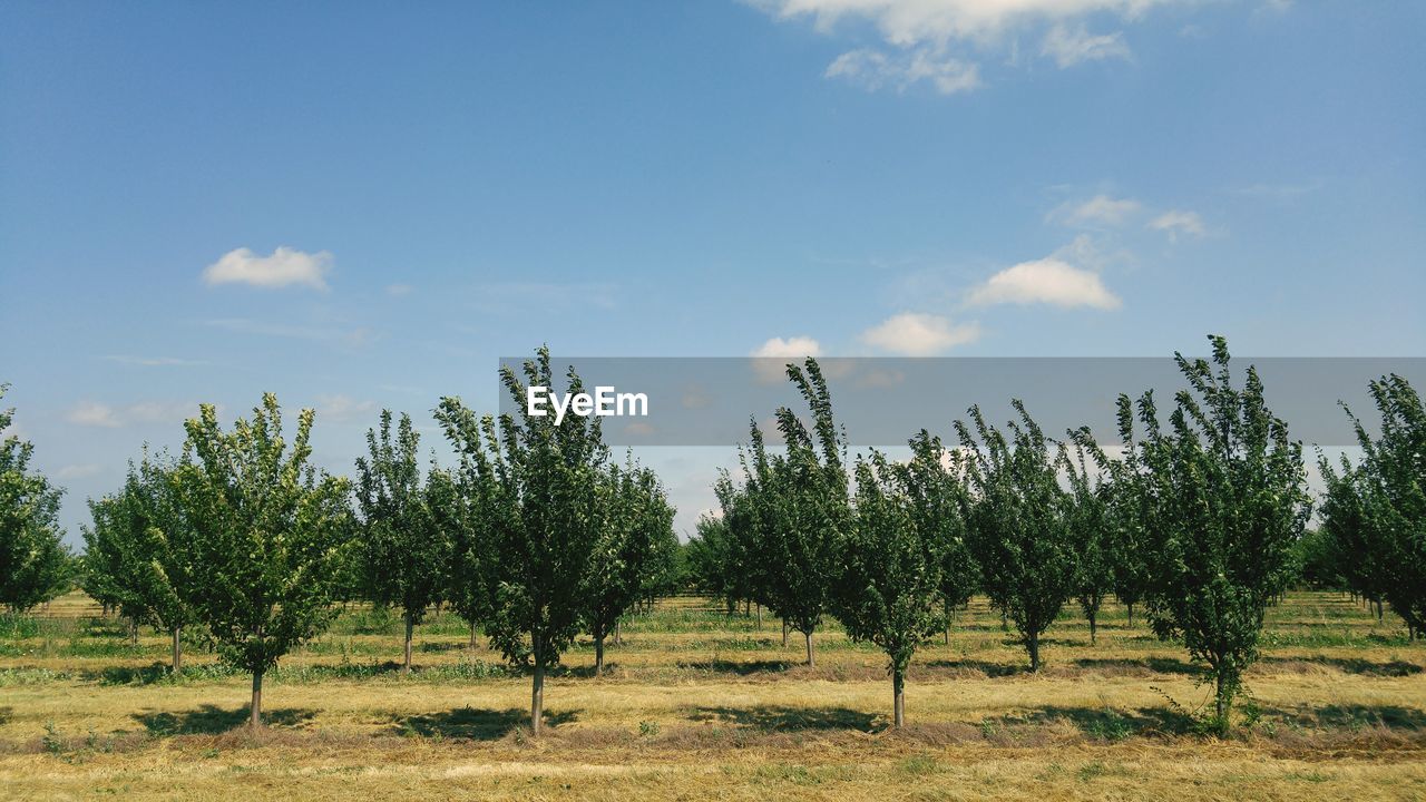 Scenic view of field against cloudy sky