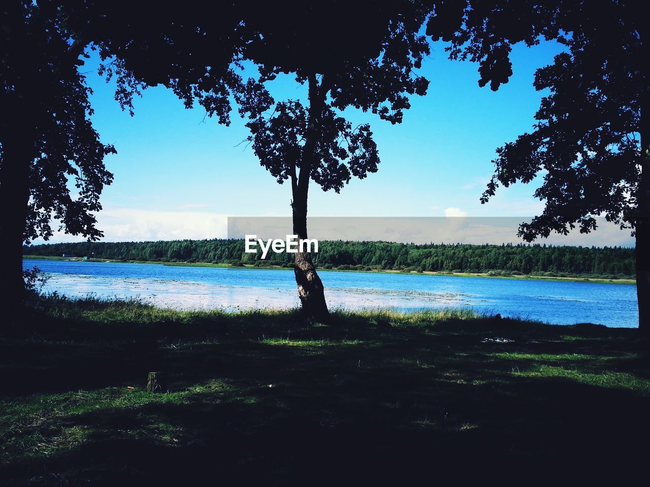 SCENIC VIEW OF LAKE AGAINST TREES