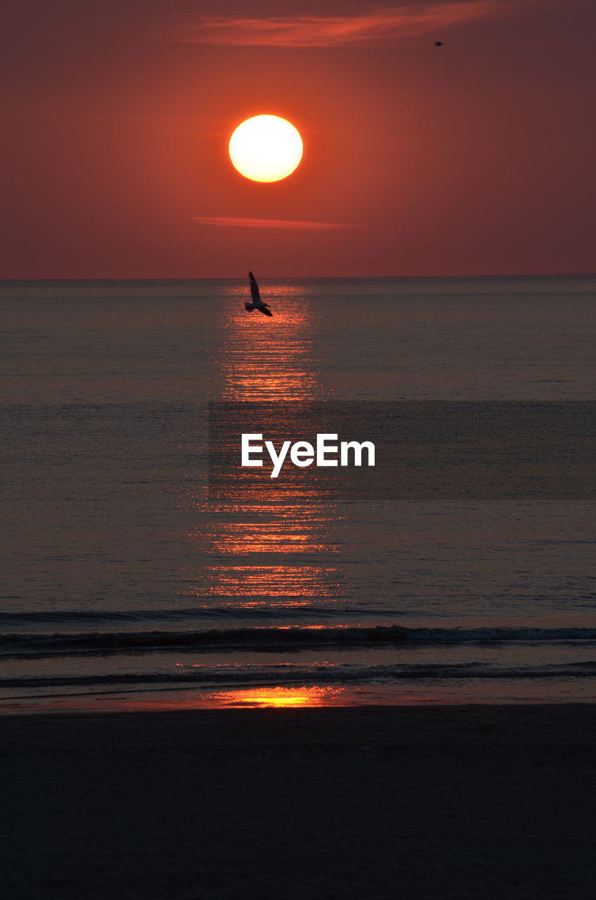 Silhouette bird flying over sea against orange sky during sunset