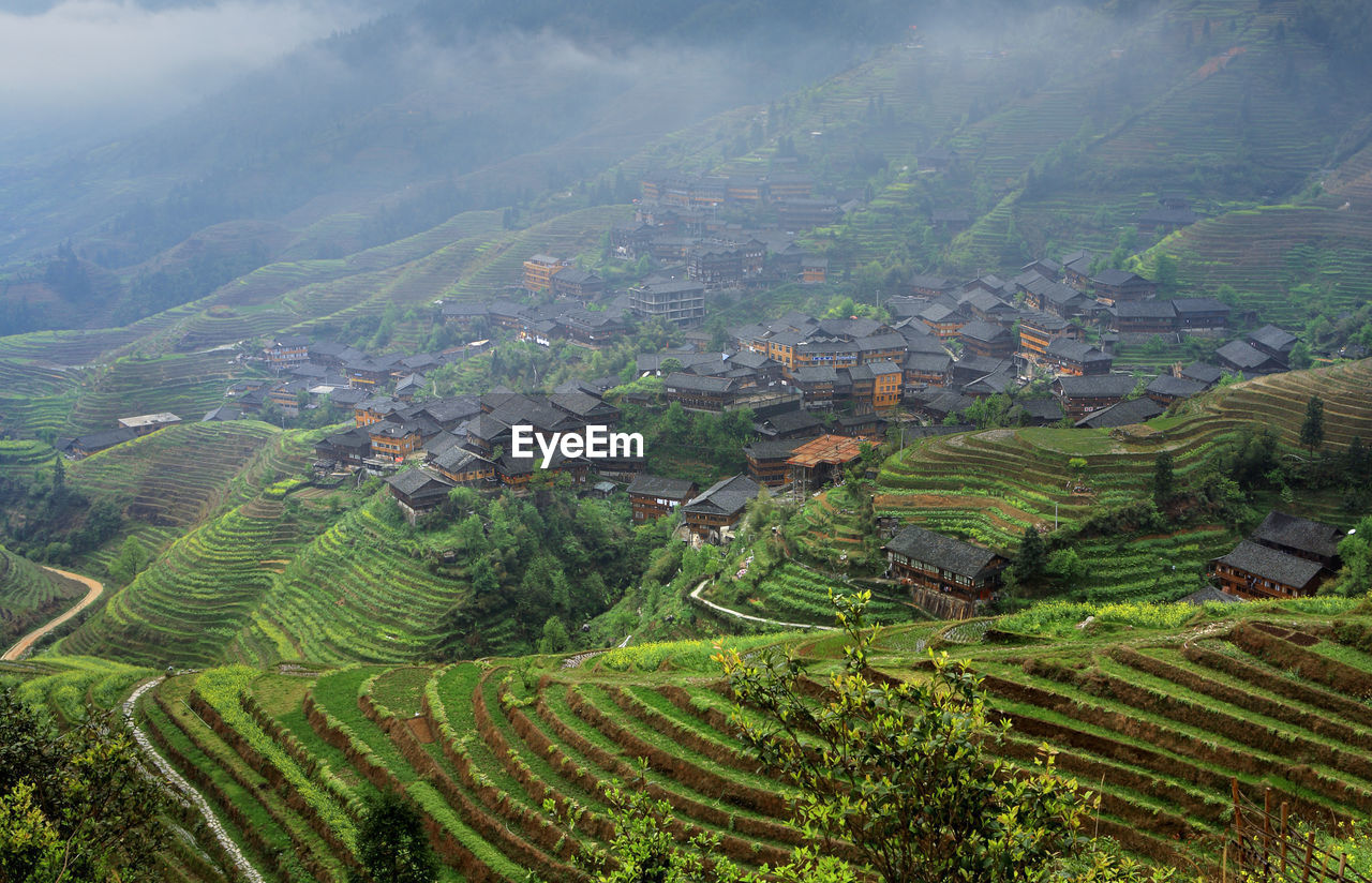 Aerial view of agricultural fields