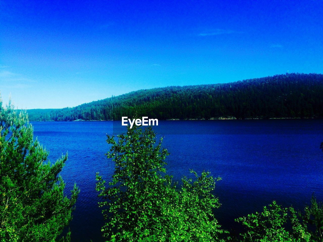 Scenic view of blue sea against sky