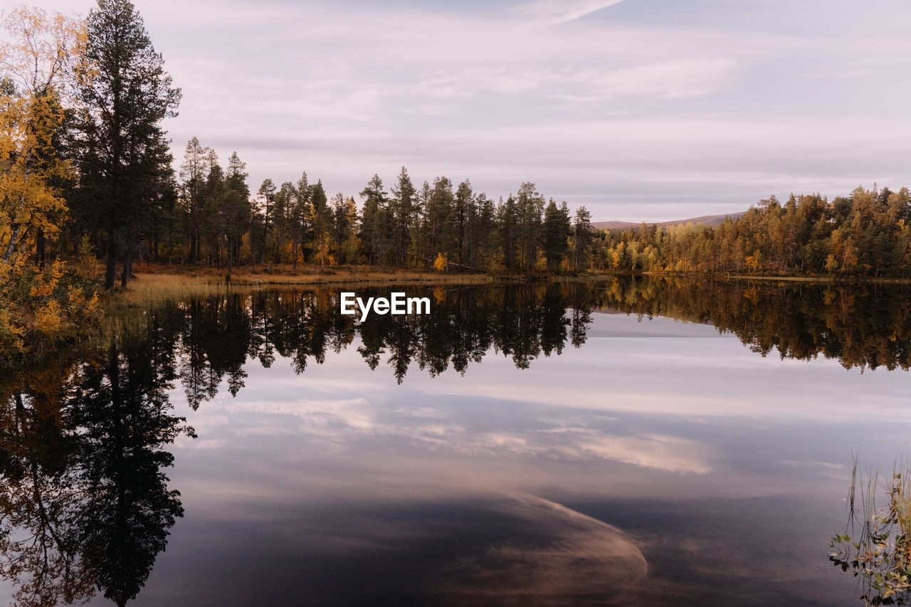 Scenic view of lake in forest against sky