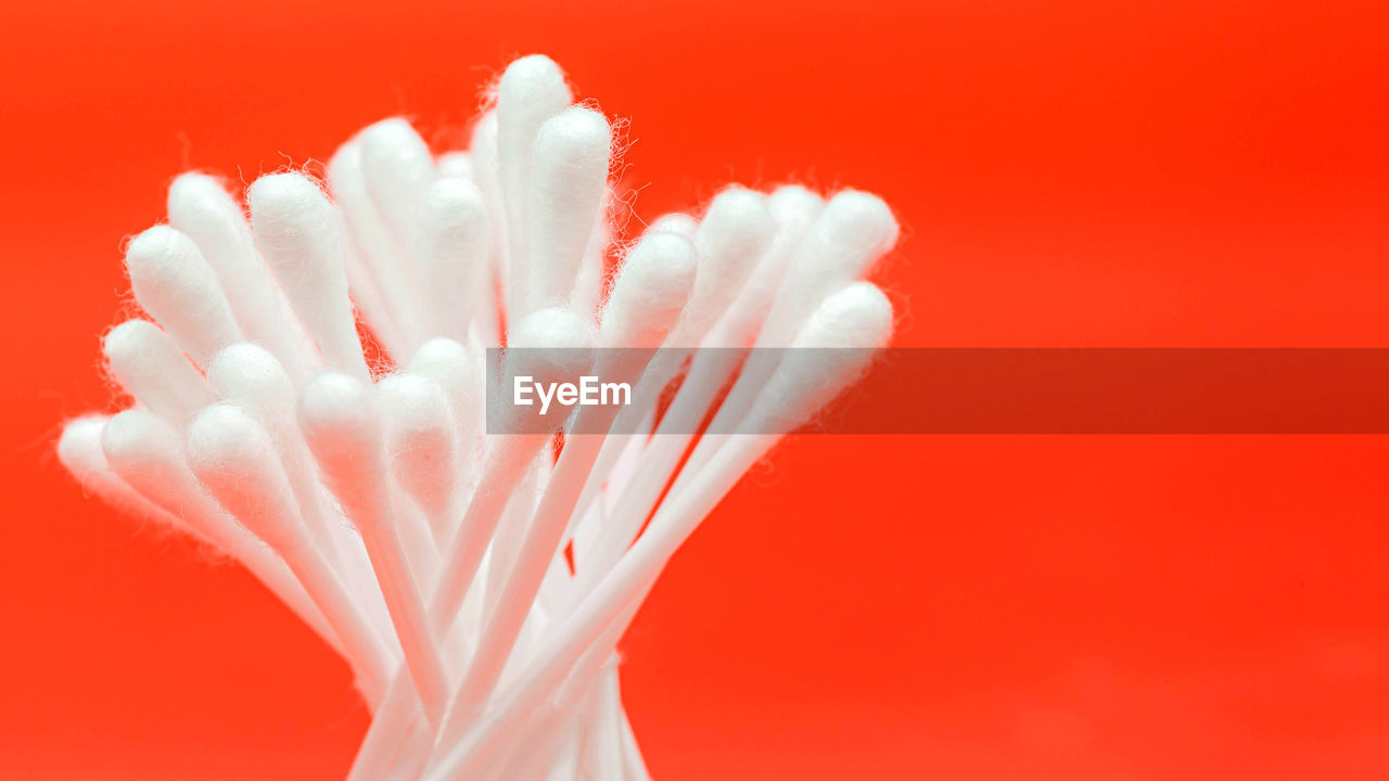 Close-up of cotton swabs against orange background