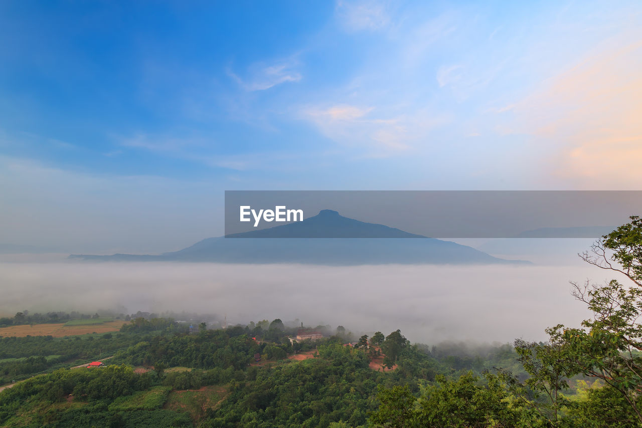 sky, beauty in nature, scenics - nature, tranquil scene, mountain, tranquility, cloud - sky, plant, nature, non-urban scene, no people, environment, idyllic, landscape, tree, remote, land, growth, outdoors, sunset, mountain peak