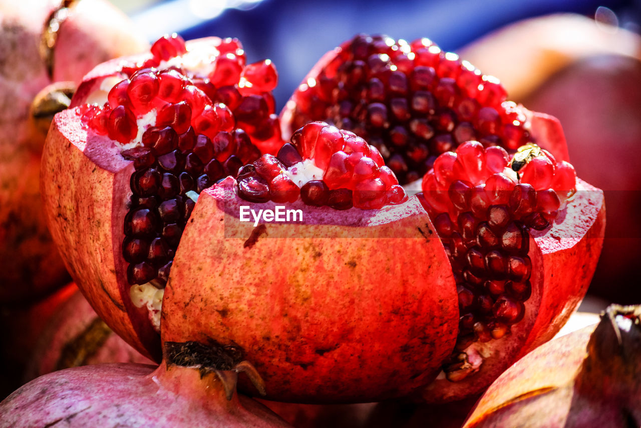 CLOSE-UP OF FRESH RED BERRIES