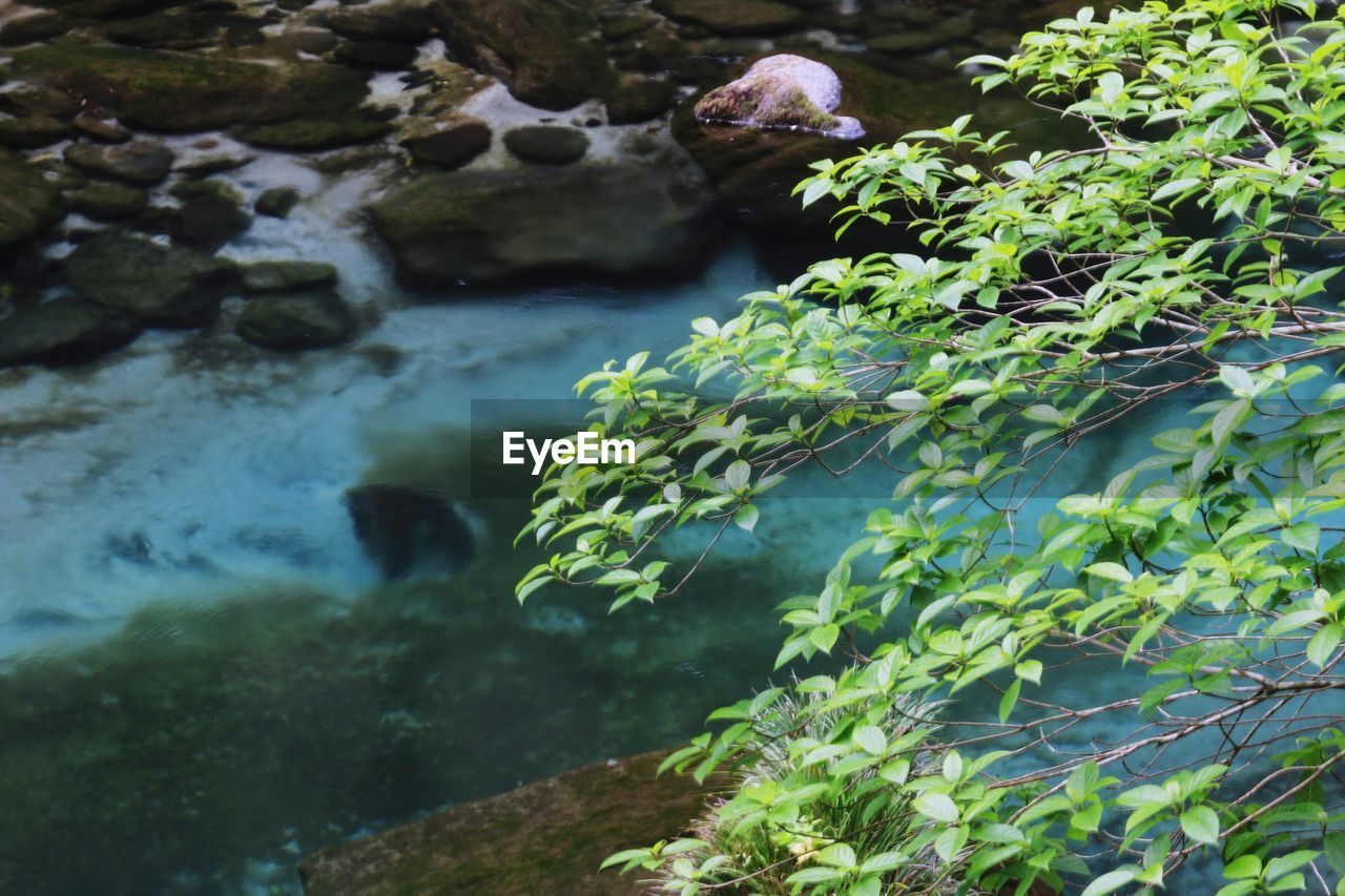 Close-up of rocks in water