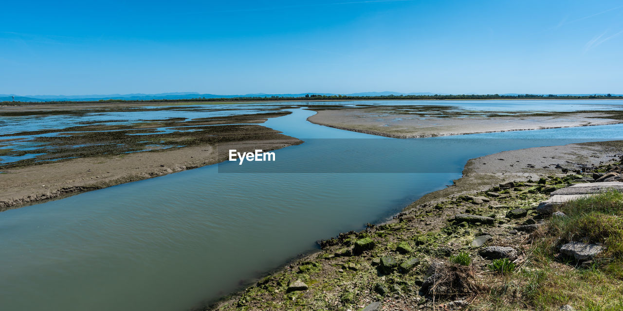 SCENIC VIEW OF BEACH AGAINST CLEAR SKY