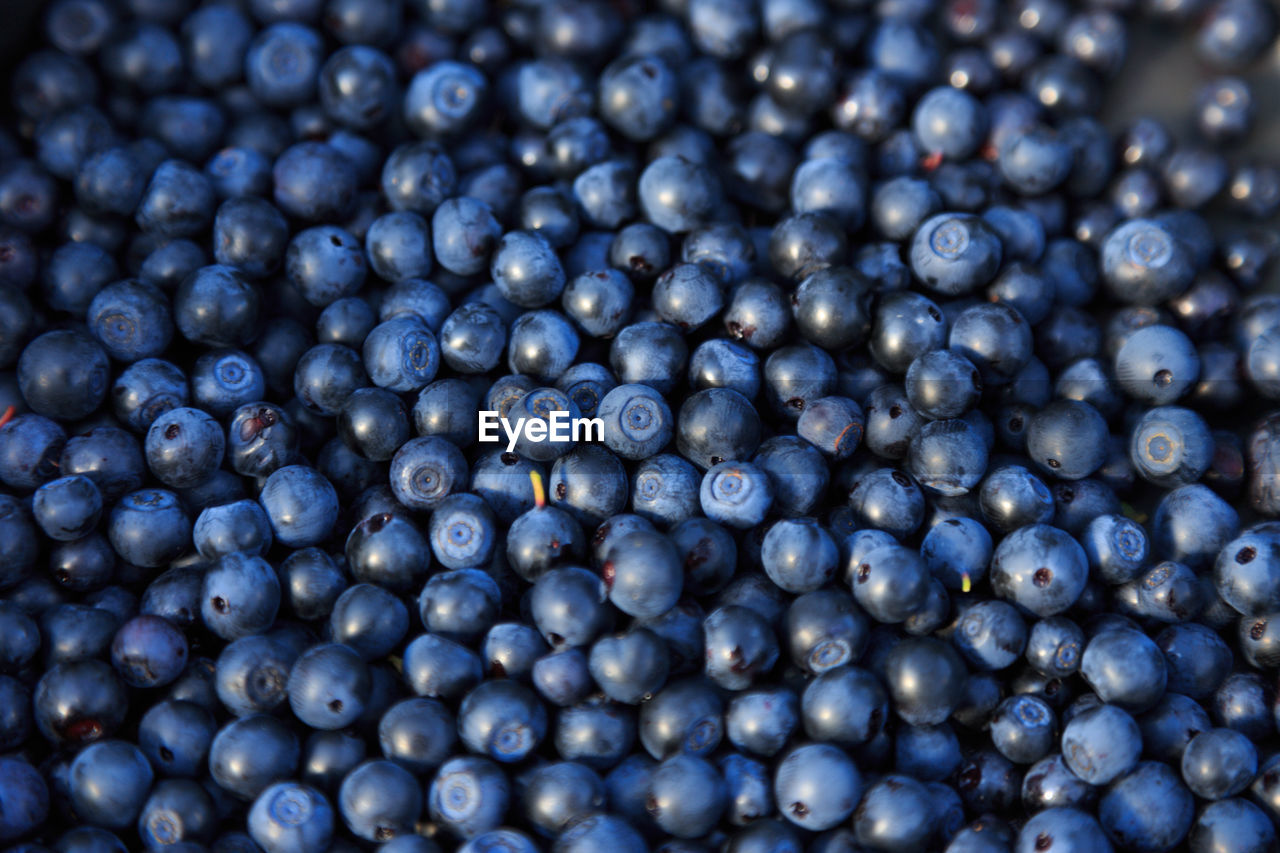 Full frame shot of blueberries