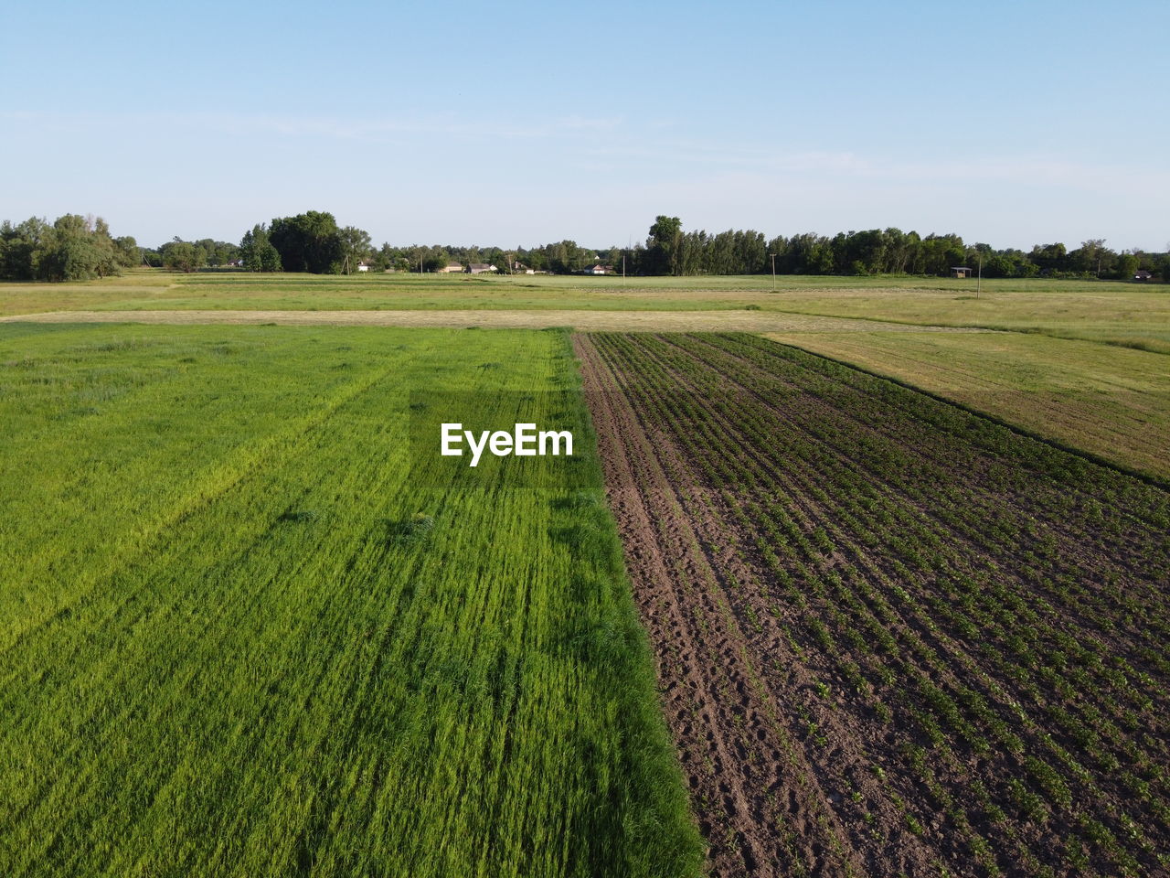 SCENIC VIEW OF AGRICULTURAL FIELD