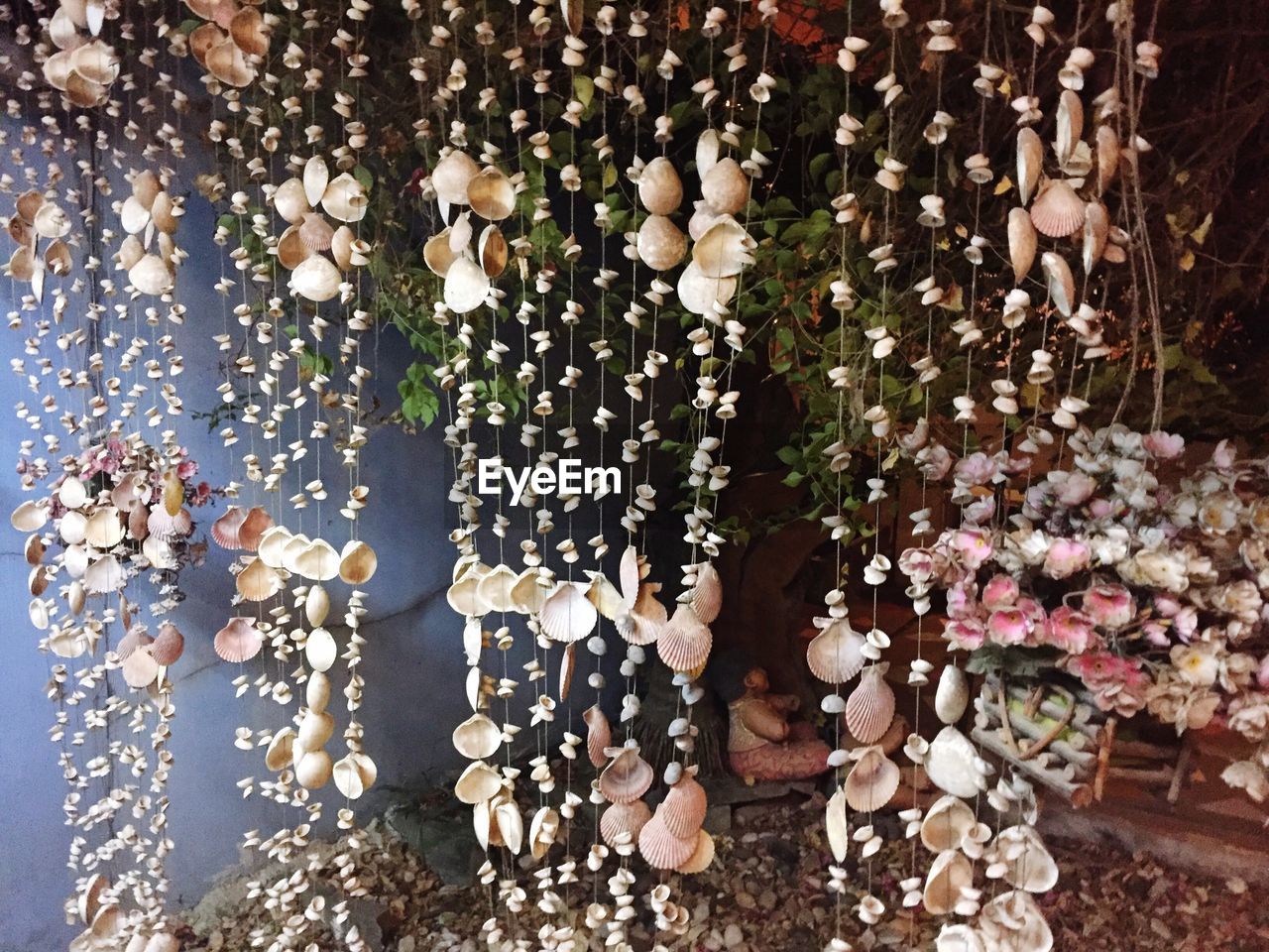 HIGH ANGLE VIEW OF LEAVES ON WOOD