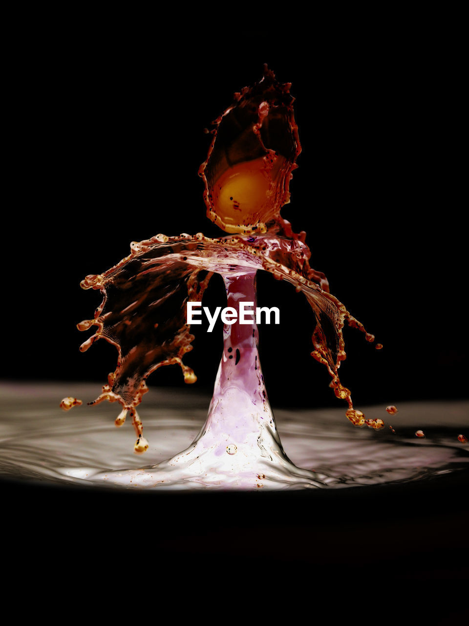 CLOSE-UP OF TREE AT NIGHT