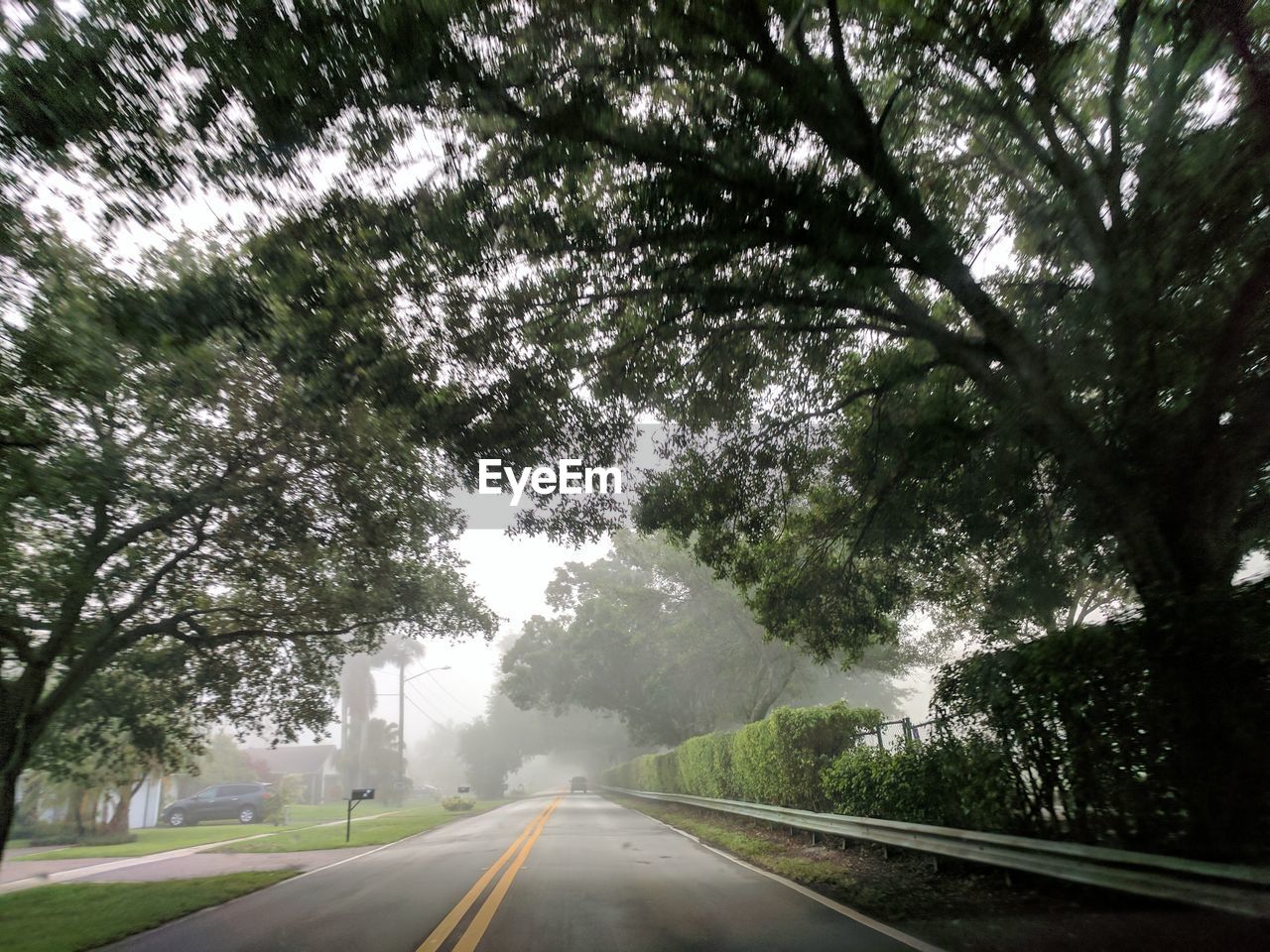 STREET BY TREES AGAINST SKY