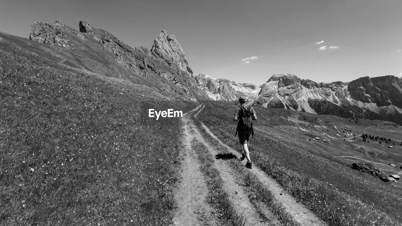 Man on a hiking path in the dolomites italy, seceda