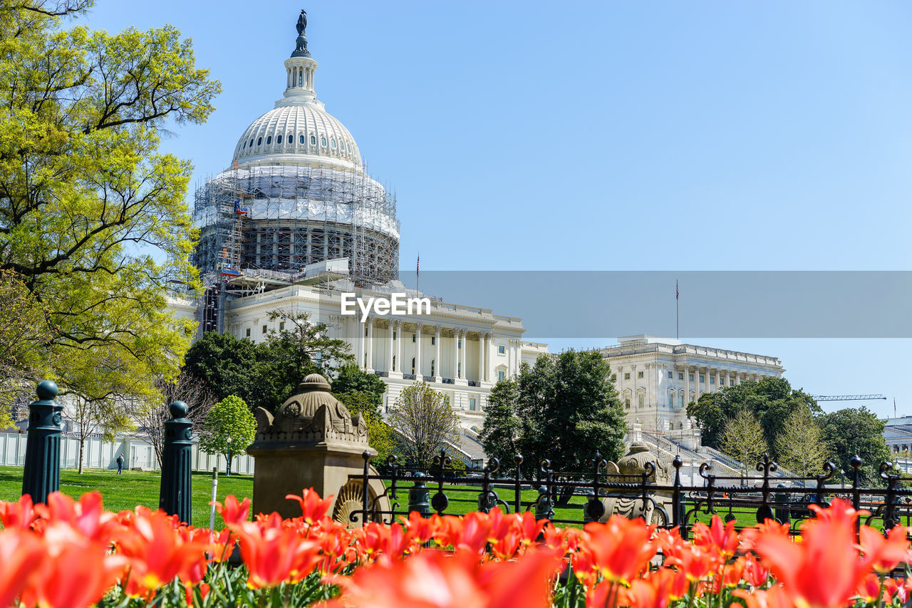 Flowers in garden with us state capitol building in background