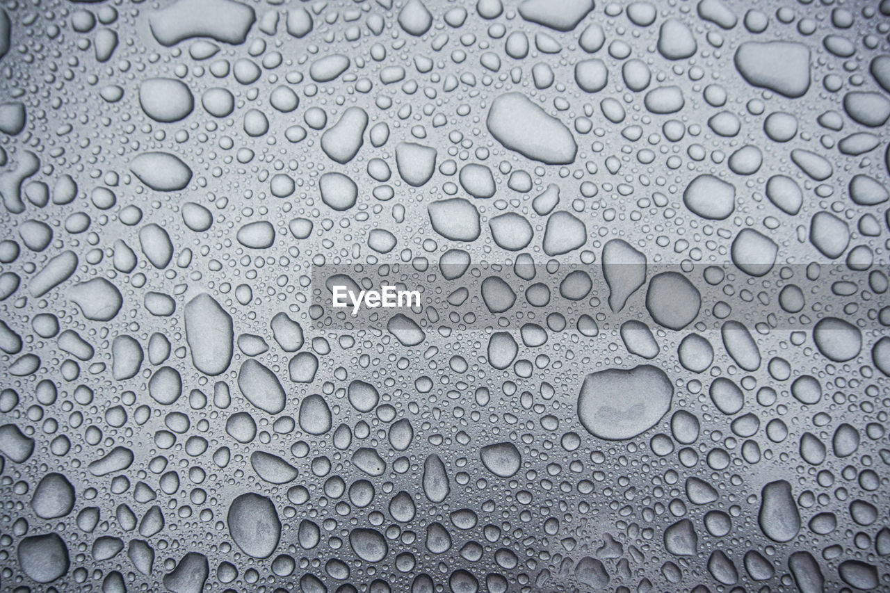 Full frame shot of water drops on glass window