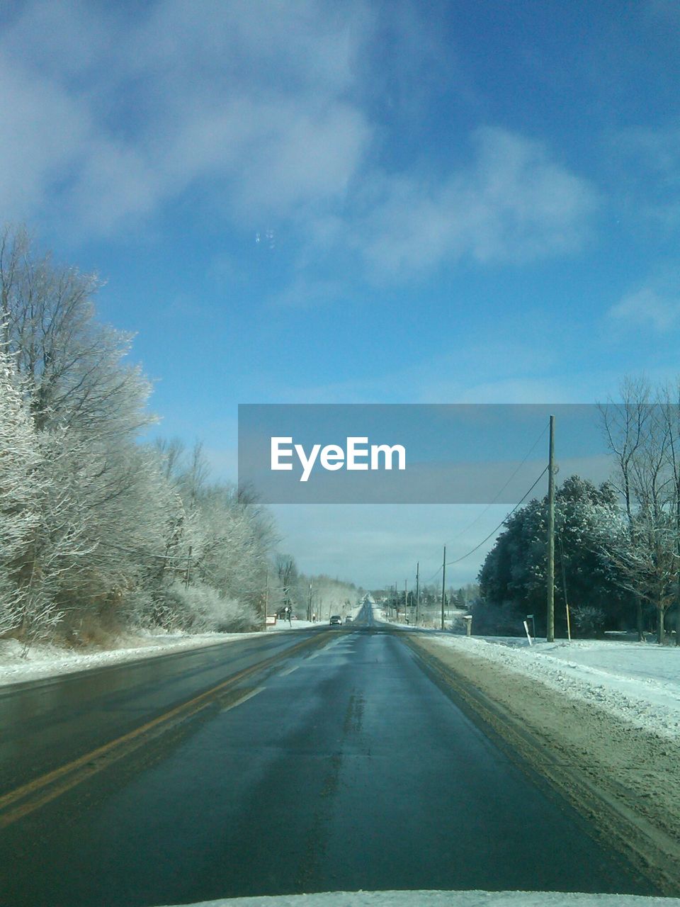 ROAD PASSING THROUGH TREES