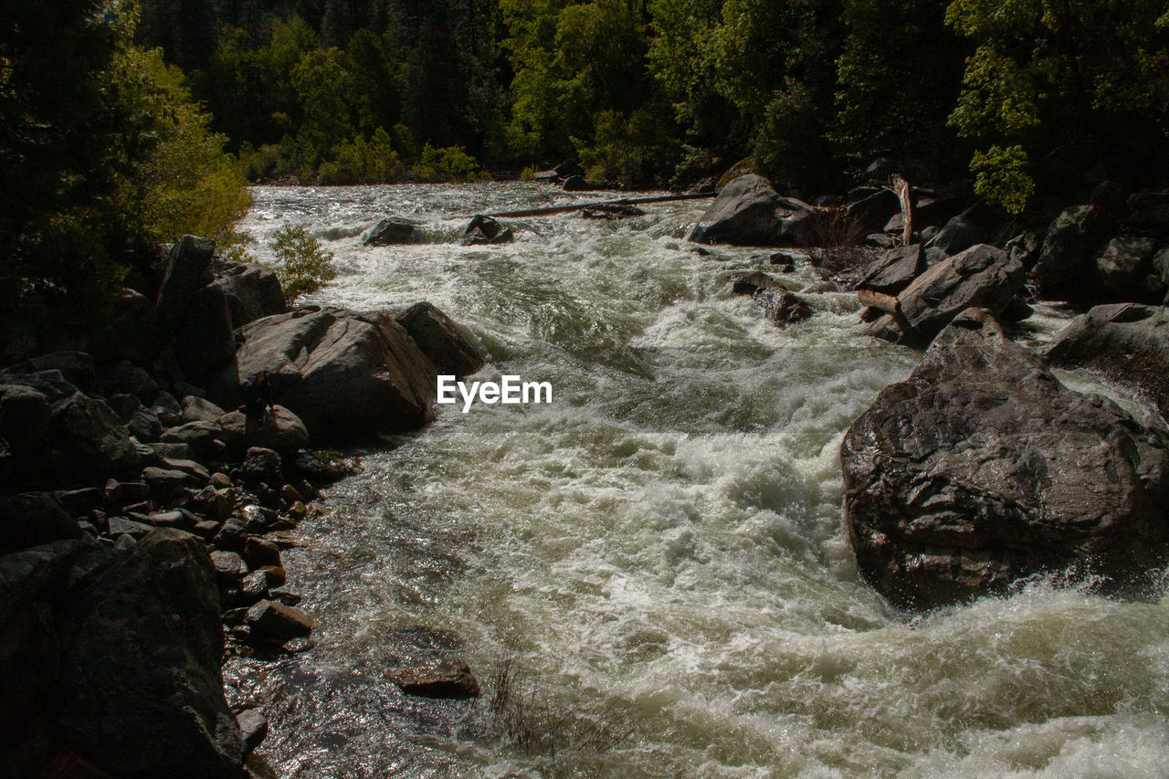 WATER FLOWING THROUGH ROCKS IN FOREST