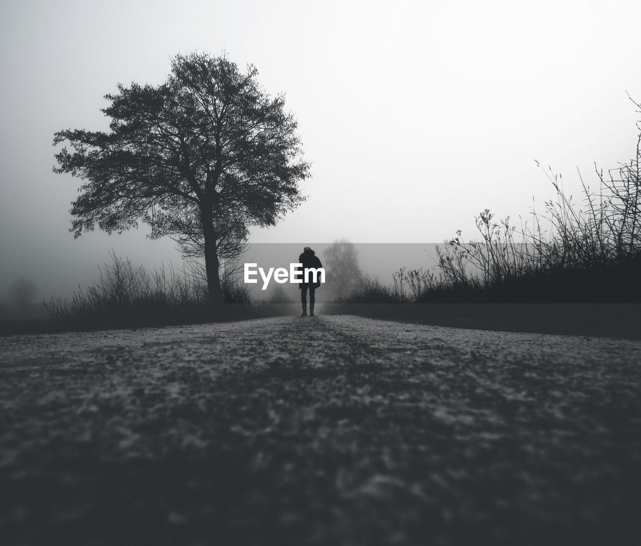 Surface level view of man standing on road in foggy weather