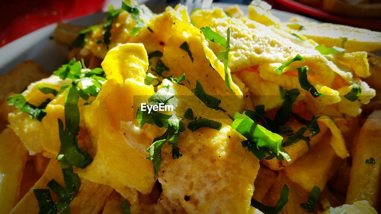 Close-up of food served in plate indoors