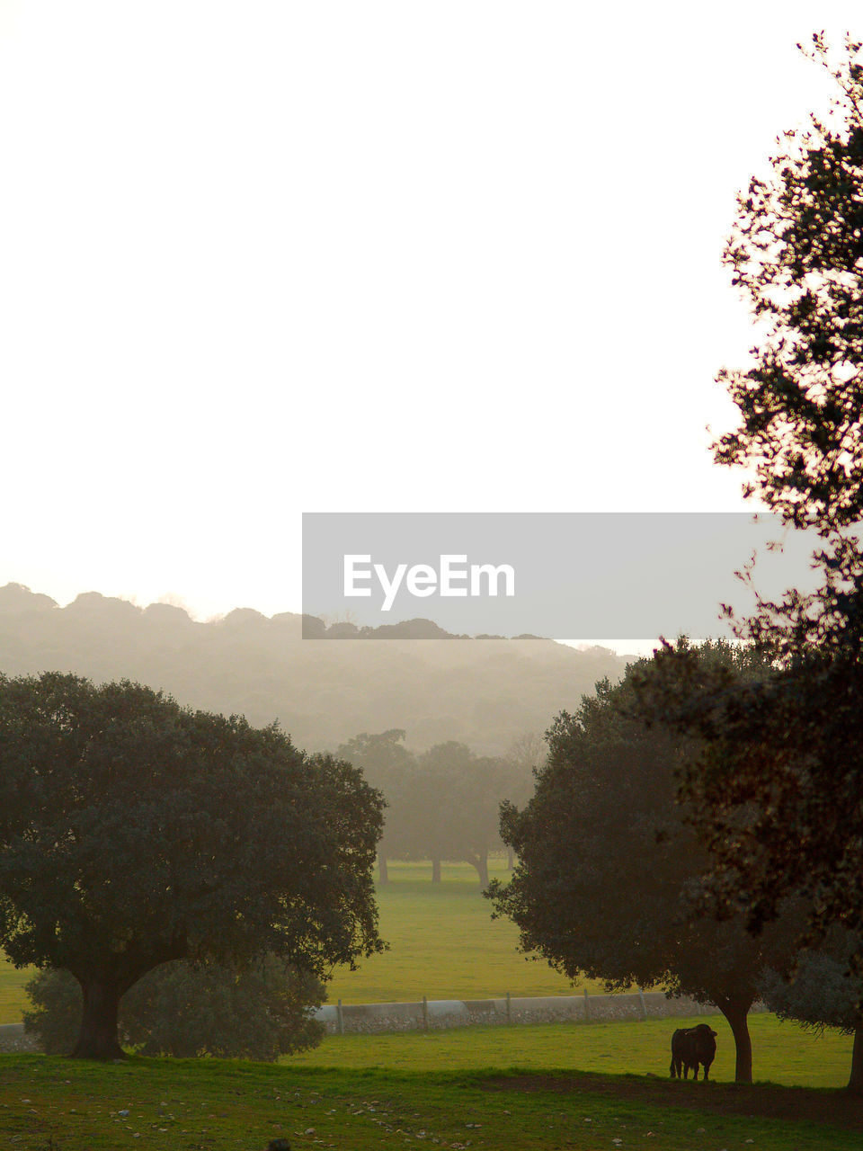 Scenic view of field and mountains against clear sky