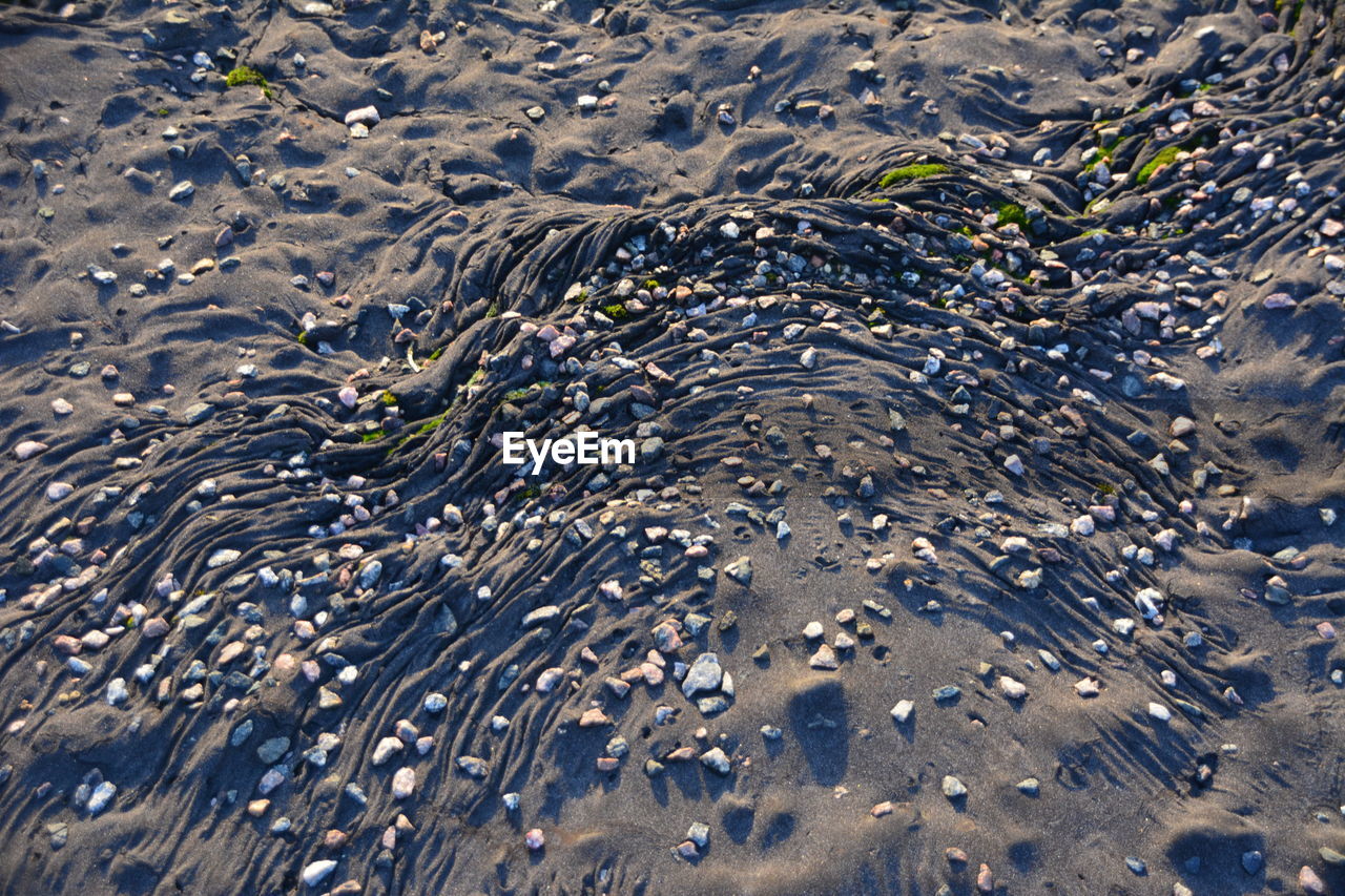 HIGH ANGLE VIEW OF CRAB ON SAND