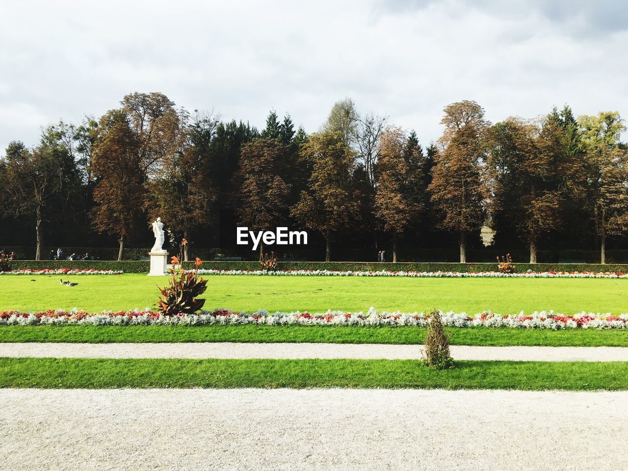 TREES GROWING IN CEMETERY