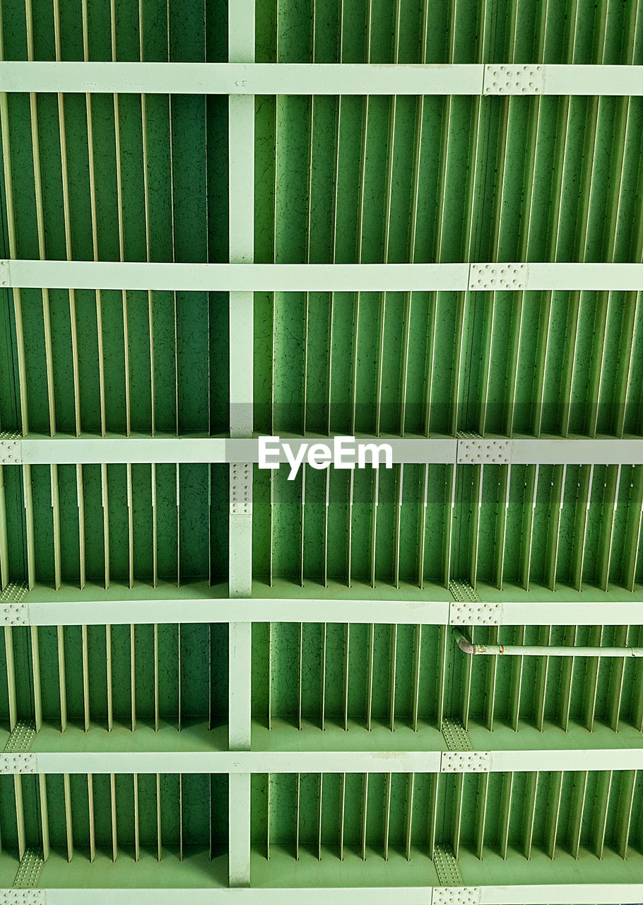 FULL FRAME SHOT OF GREEN LEAF