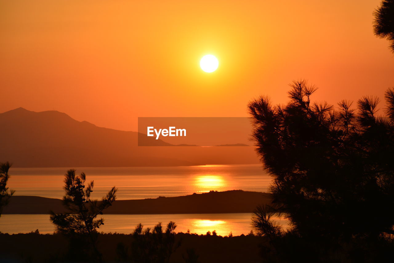 SILHOUETTE TREES BY SEA AGAINST ORANGE SKY DURING SUNSET