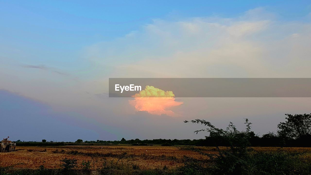 FIELD AGAINST SKY DURING SUNSET