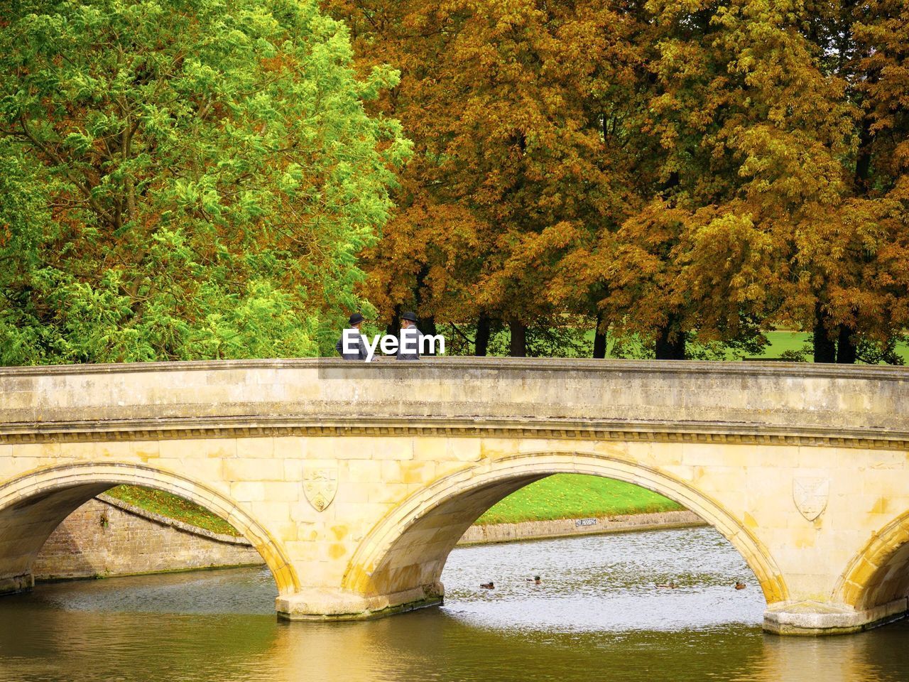 BRIDGE OVER RIVER BY TREES DURING AUTUMN