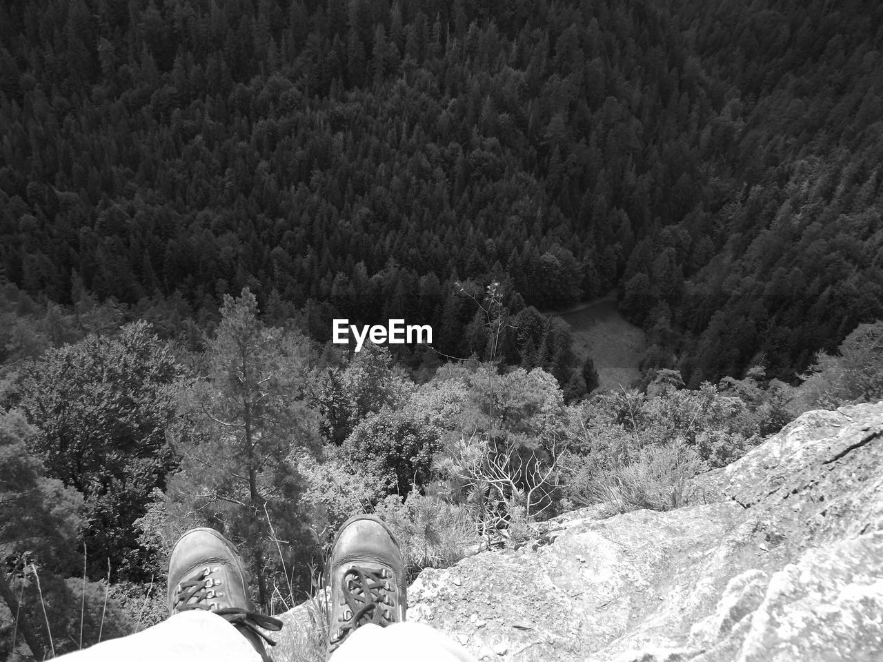 LOW SECTION OF MAN AND WOMAN STANDING BY TREE IN FOREST