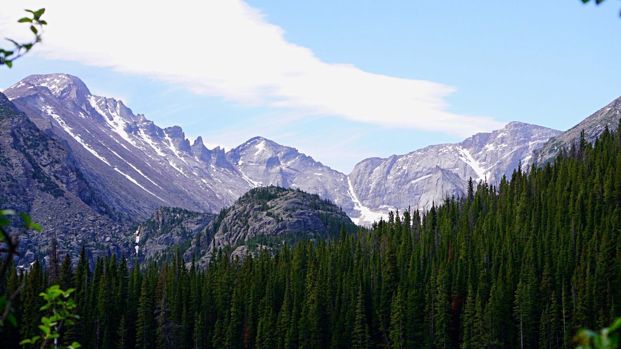 Low angle view of trees by rocky mountains against sky