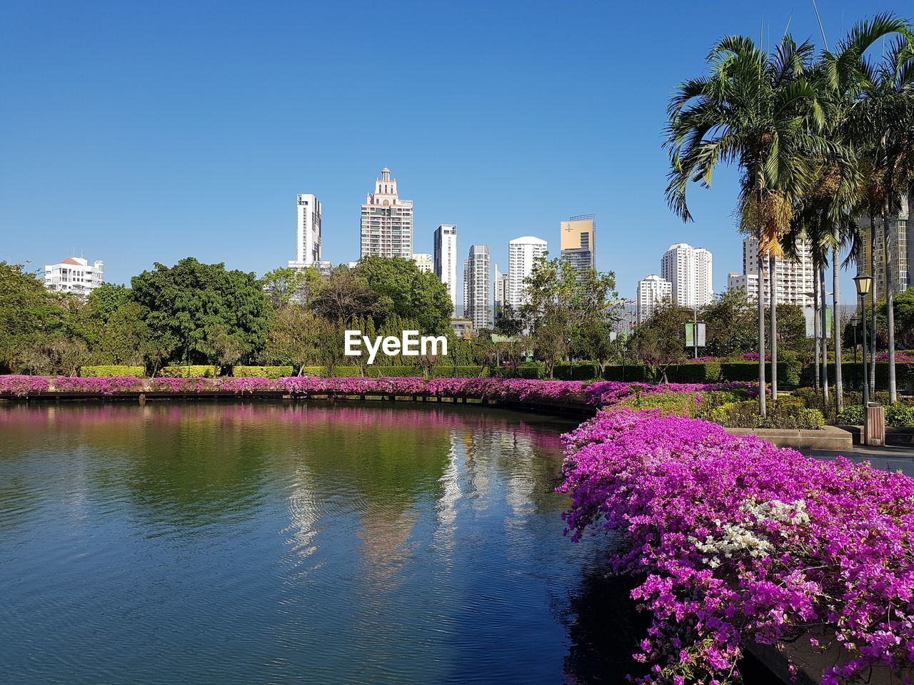 View of flowering plants in park against buildings