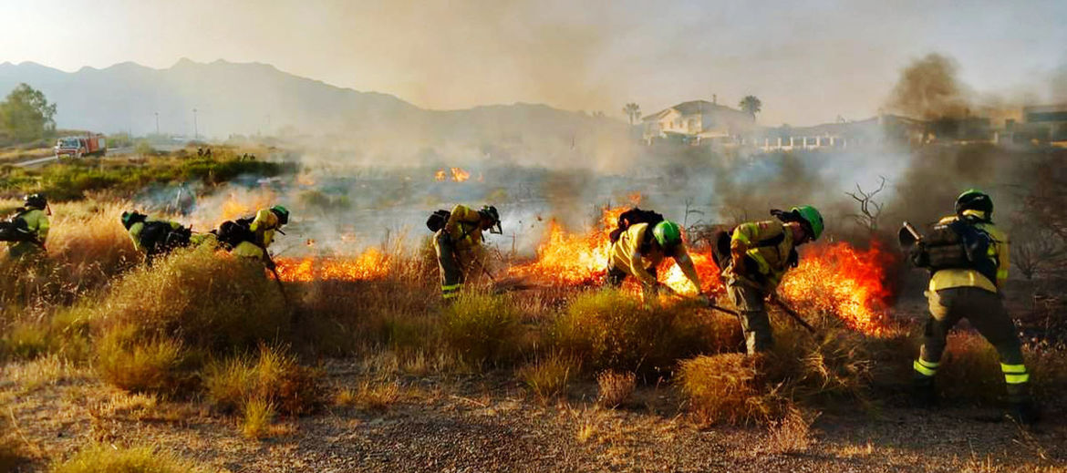 wildfire, firefighter, burning, nature, occupation, fire, group of people, environment, screenshot, smoke, plant, land, outdoors, adult, landscape, accidents and disasters, activity, heat, flame, day, grass, violence, panoramic
