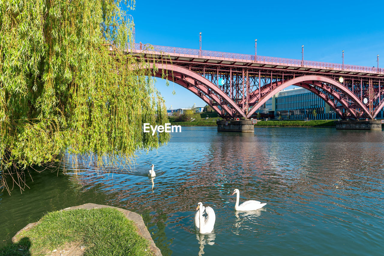 VIEW OF SWAN BRIDGE OVER RIVER AGAINST SKY