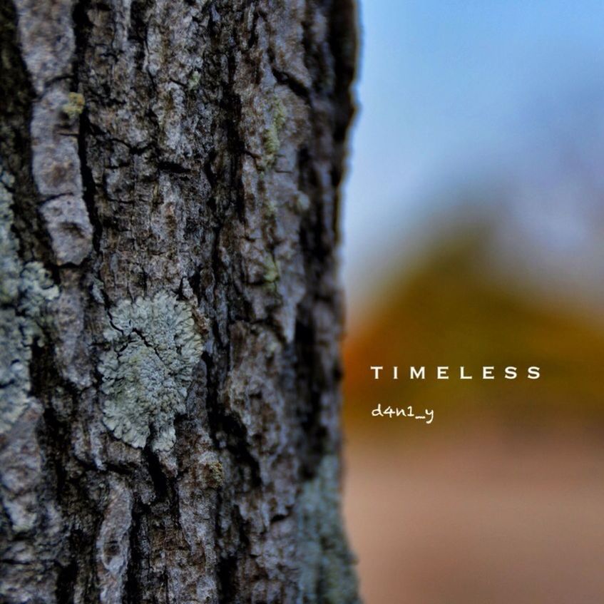 CLOSE-UP OF TREE TRUNK AGAINST BLURRED BACKGROUND