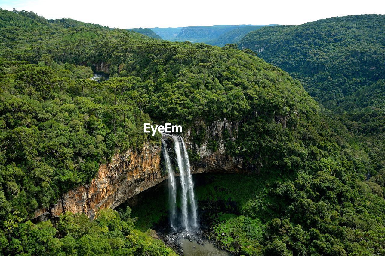 Scenic view of waterfall in forest