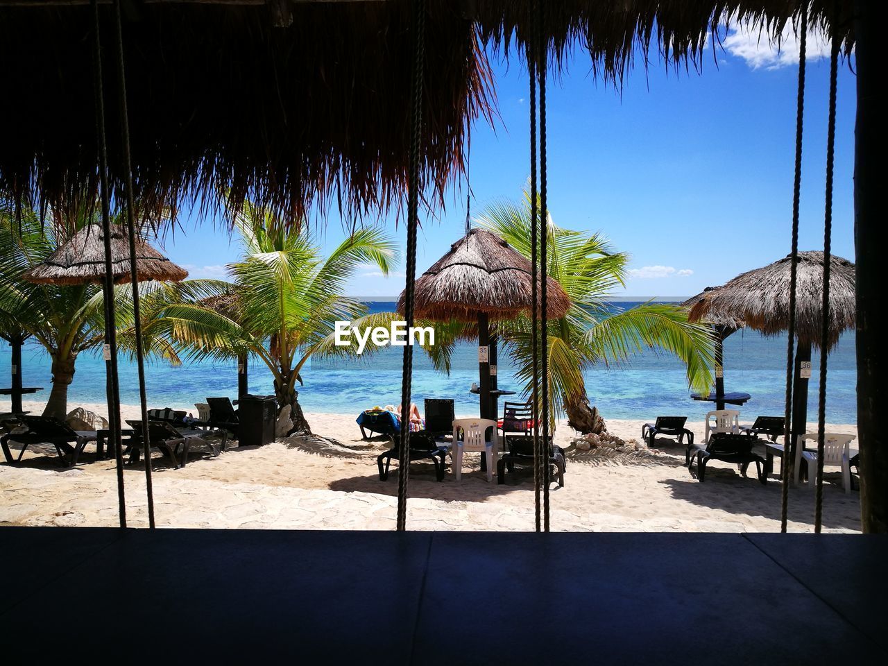 PALM TREES ON BEACH