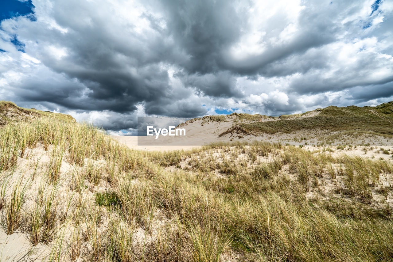 cloud, environment, landscape, nature, sky, plant, wilderness, scenics - nature, mountain, beauty in nature, grass, land, dramatic sky, grassland, no people, natural environment, plateau, cloudscape, non-urban scene, meadow, travel, travel destinations, outdoors, storm, overcast, tranquility, mountain range, day, tree, storm cloud, panoramic, tranquil scene, tourism, summer, plain, prairie, ridge, rural scene, rural area
