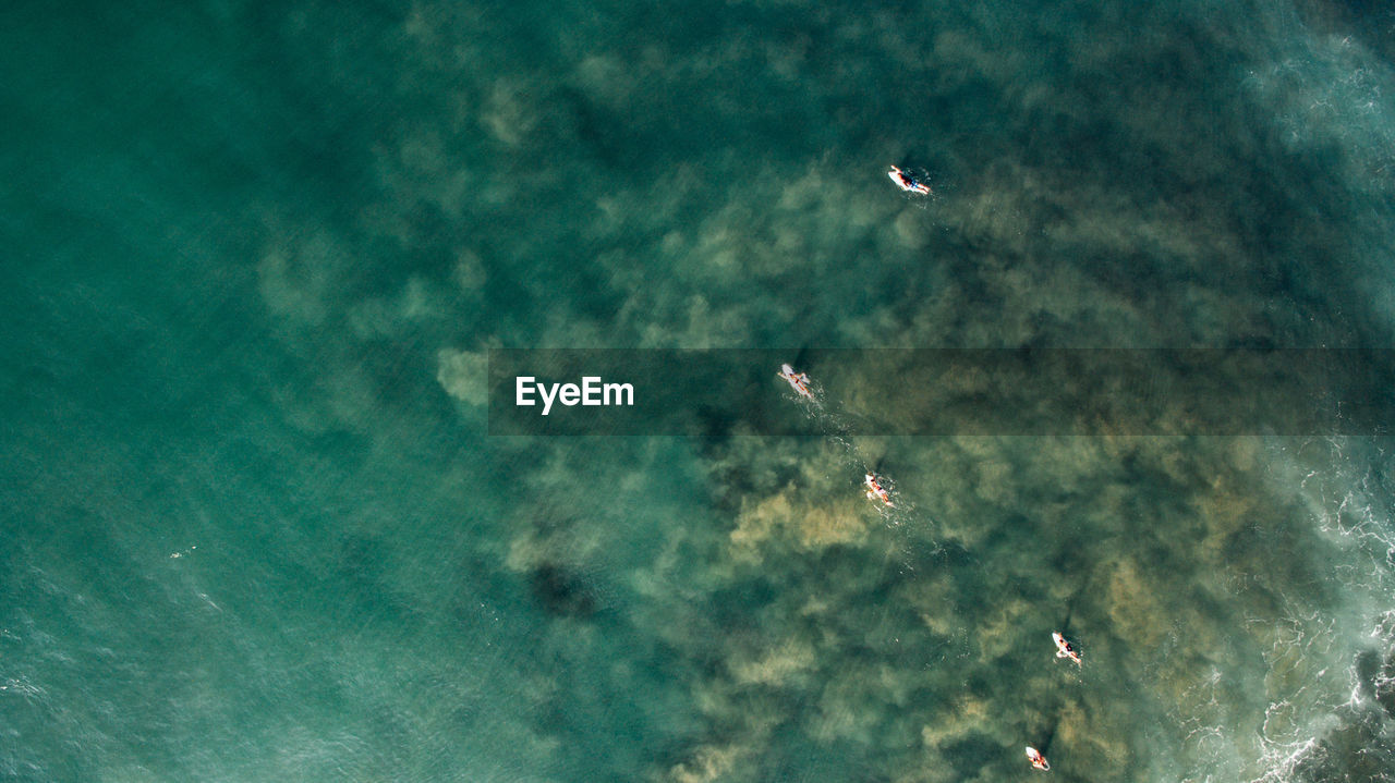 Aerial view of people surfing on sea