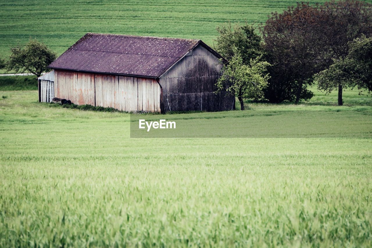 Barn on field by house